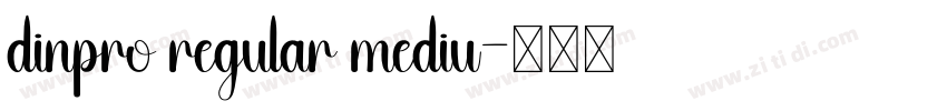 dinpro regular mediu字体转换